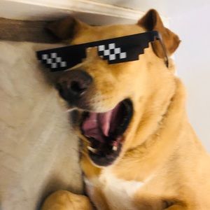 Meet your Posher, Silvina